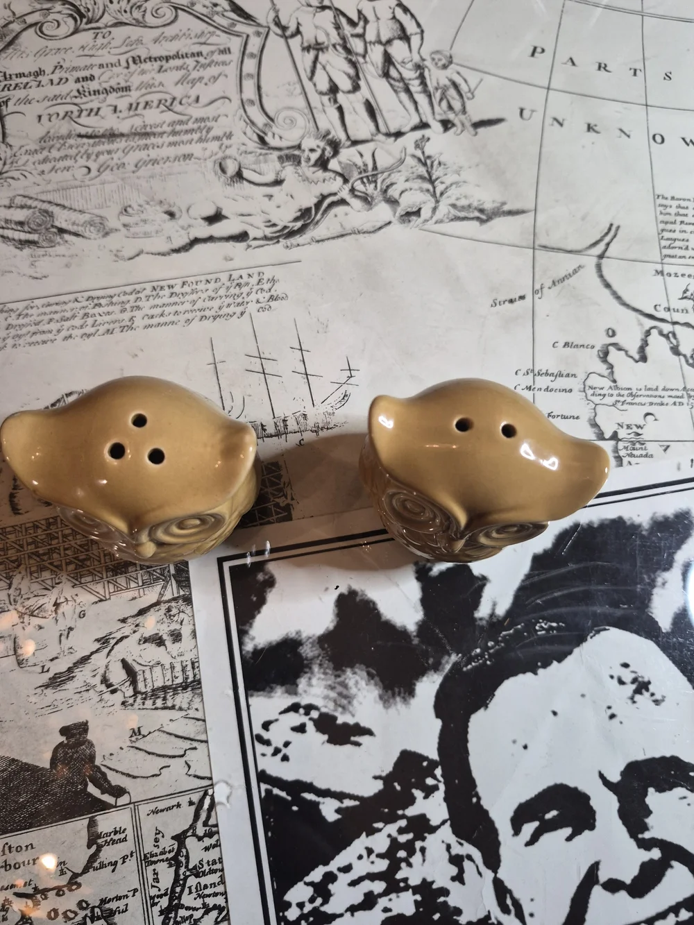 Yellow Ceramic Owl Salt and Pepper Shakers - Pair